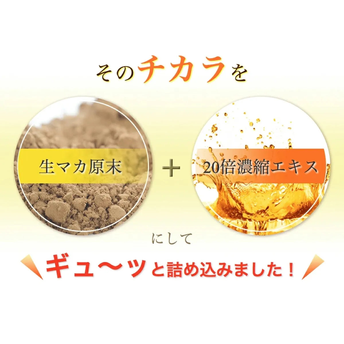 【定期便】生マカ原末カプセル