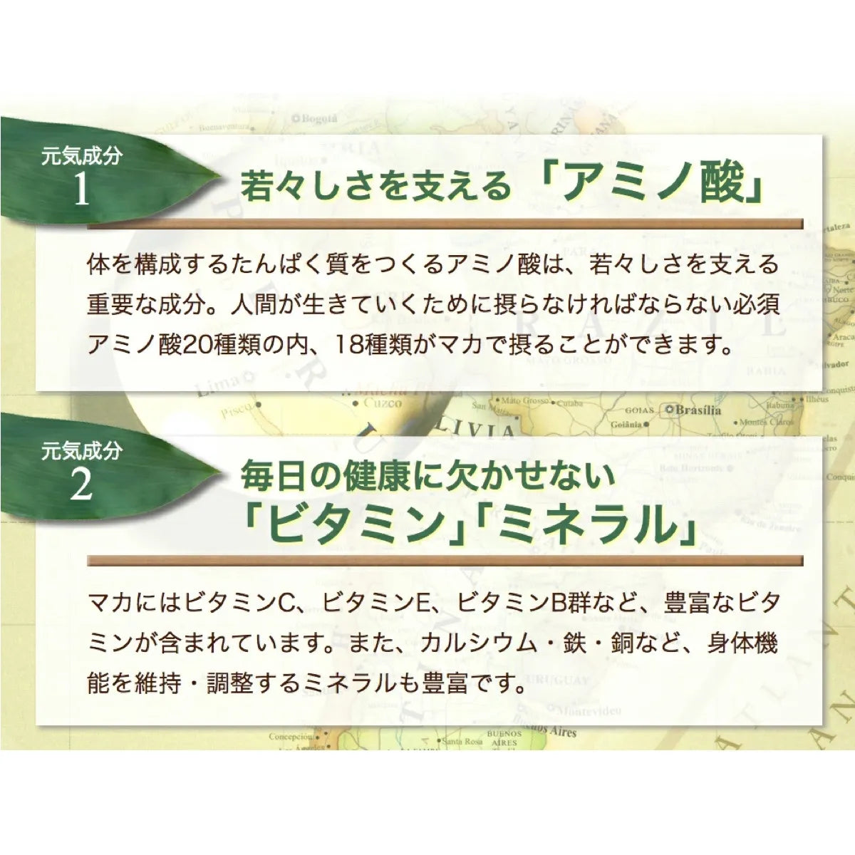 【定期便】生マカ原末カプセル