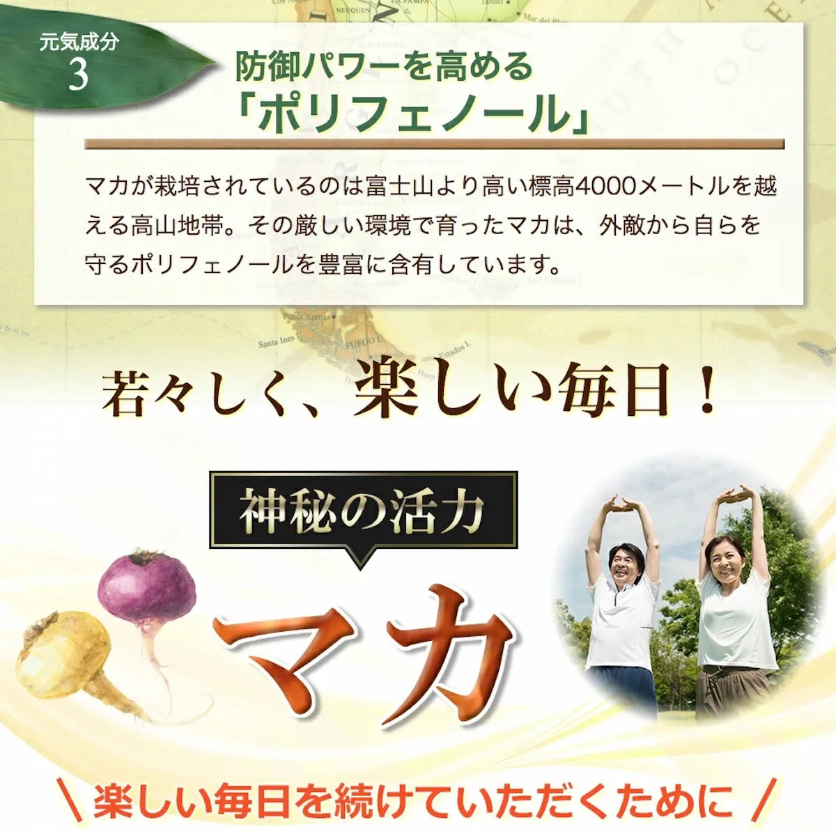 【定期便】生マカ原末カプセル