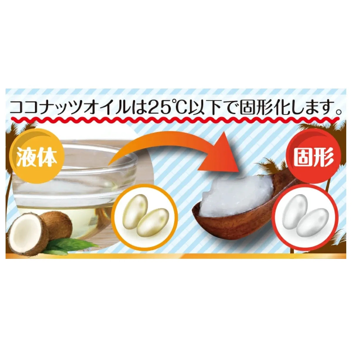 【定期便】ココナッツオイル100%カプセル