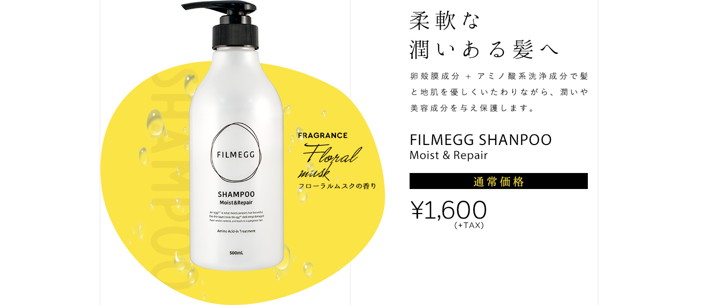 柔軟な潤いある髪へ FILMEGG SHANPOO【通常価格】1,600円【2個定期便（送料無料）】2,944円